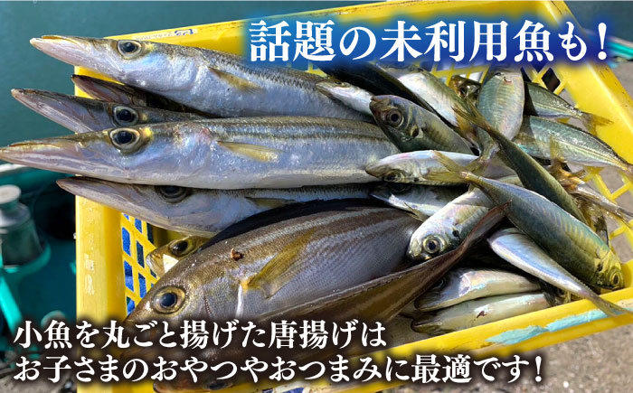 【季節限定】冬の朝どれ 鮮魚おまかせセット 約5kg【有限会社勘網】 [AKDX004]