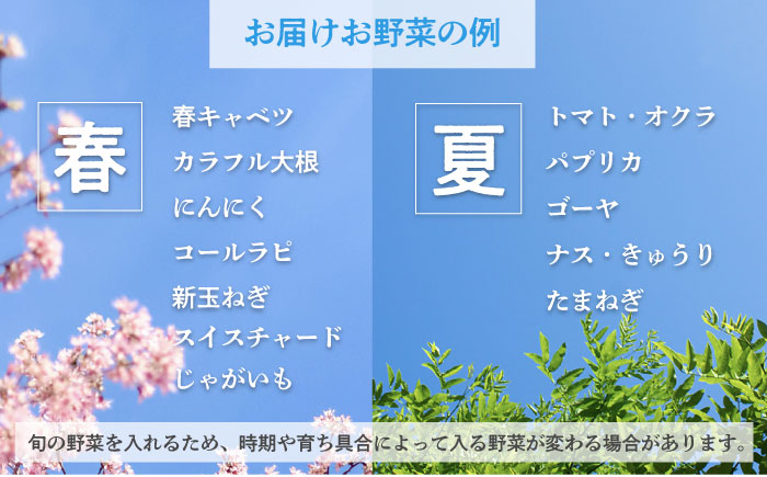 横須賀産野菜セット 7種 詰め合わせ【横須賀商工会議所 おもてなしギフト事務局（三浦半島直売所）】 [AKES001]