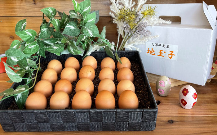 餌にこだわった三浦半島産赤たまご　20個　【横須賀商工会議所　おもてなしギフト事務局（岩沢ポートリー）】 [AKET003]