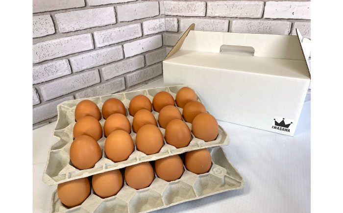 餌にこだわった三浦半島産赤たまご　30個　【横須賀商工会議所　おもてなしギフト事務局（岩沢ポートリー）】 [AKET004]