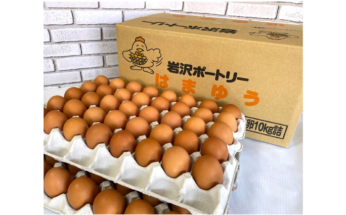 餌にこだわった三浦半島産赤たまご　Lサイズ10kg（約150個）　【横須賀商工会議所　おもてなしギフト事務局（岩沢ポートリー）】 [AKET006]