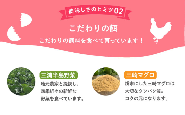 飼い方にこだわり餌にこだわった「姫様のたまご」　20個　【横須賀商工会議所　おもてなしギフト事務局（岩沢ポートリー）】 [AKET007]