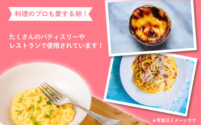 「姫様のプリンセット」（６個入り）　飼い方にこだわり餌にこだわった姫様のたまごで作ったプリン　【横須賀商工会議所　おもてなしギフト事務局（岩沢ポートリー）】 [AKET008]