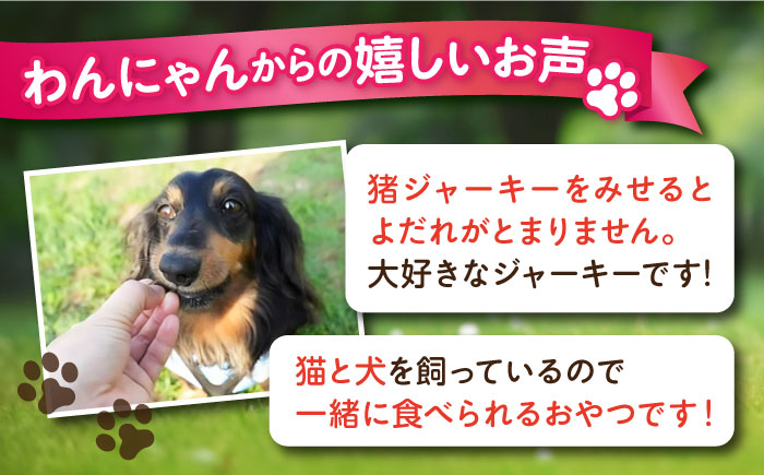 いのししジャーキー（60g×2袋）【ペットフード YMjapan】 [AKEX022]