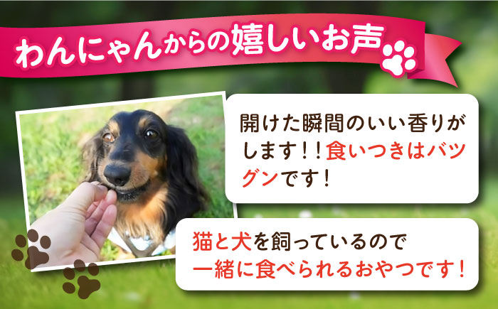 【全6回定期便】鹿肉ジャーキー（80g×2袋）【ペットフード YMjapan】 [AKEX028]