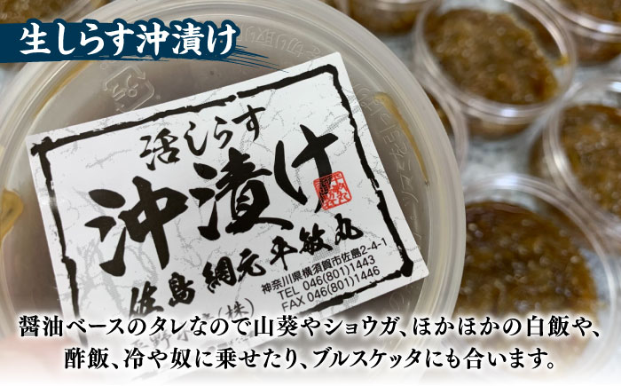 【全12回定期便】 海の幸セット（沖漬け×1・ふりかけ×1・湘南しらす×3）【平敏丸】 [AKEZ020]