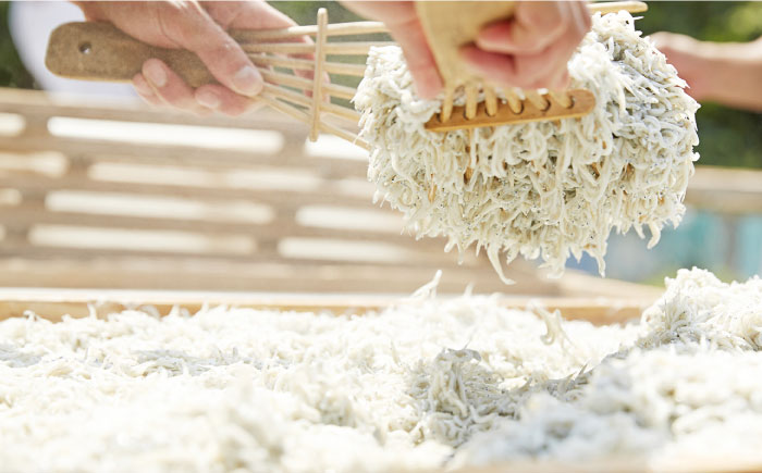 【全6回定期便】釜揚げしらす 900g（150ｇ×6パック）【かねしち丸水産】 [AKFL004]