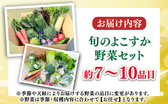 よこすか野菜セット すかなボックス 【JAよこすか葉山】 [AKFO001]