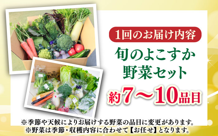 【全12回定期便】よこすか野菜セット すかなボックス 【JAよこすか葉山】 [AKFO009]