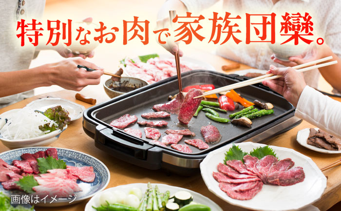 【冷蔵発送でお届け】 葉山牛 焼肉用切り落としセット 約500g 【JAよこすか葉山】 [AKFO011]