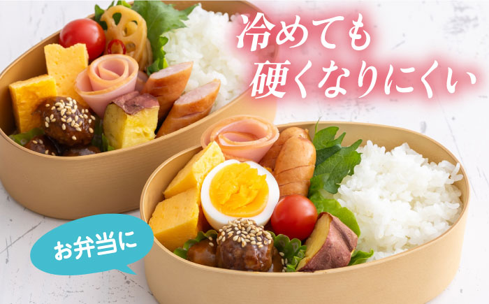 【数量限定30セット】令和6年産 お米 はるみ 5kg【株式会社ヨコショク】 [AKGC001]