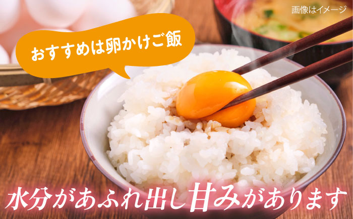 【2025年8月・9月発送】【2回定期便】令和6年産　お米　はるみ　10kg【株式会社ヨコショク】 [AKGC004]
