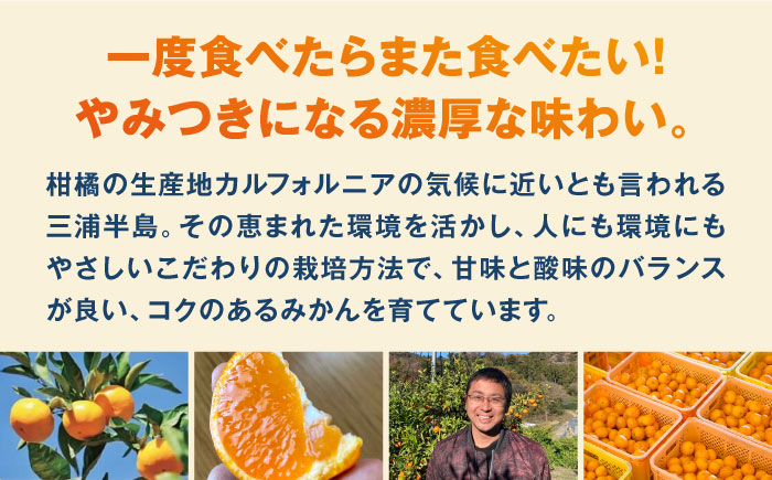【年内発送の受付は12月22日まで！】【選べる容量！】 西南のひかり 年内発送 【志村農園】 [AKGH005] 約3kg