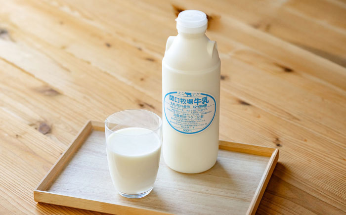 低温殺菌牛乳 ジャージー牛乳 牛乳 人気 6本セット　【よこすか関口牧場】 [AKGN002]