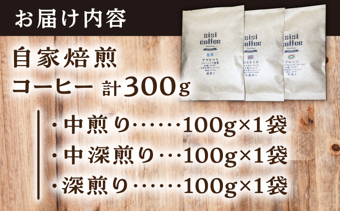 【選べる豆or粉】珈琲豆 おまかせ 3種 飲み比べ セット 珈琲 コーヒー 焙煎 選べる コーヒー豆 コーヒー粉 ロースター【宍戸珈琲】 [AKGP001-1] 豆