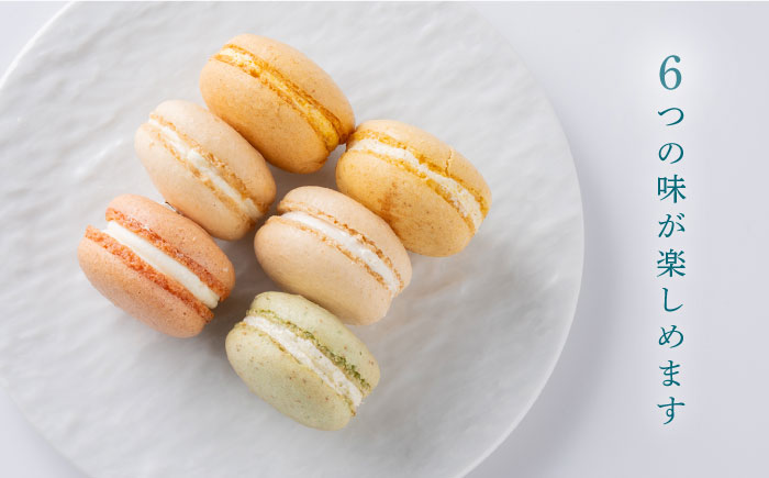 マカロン6個セット　よこすかfarmersSelection マカロン　お菓子　スイーツ 野菜　【マカルース】 [AKGS001]