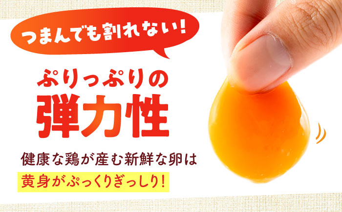 【年内発送の受付は12月18日まで！】安田養鶏場の卵 アトムくん 30個入り 横須賀市 産地直送 割れ保証付き たまご 黄身 濃厚 卵 玉子 タマゴ 鶏卵 年内発送【安田養鶏場】 [AKHN002]