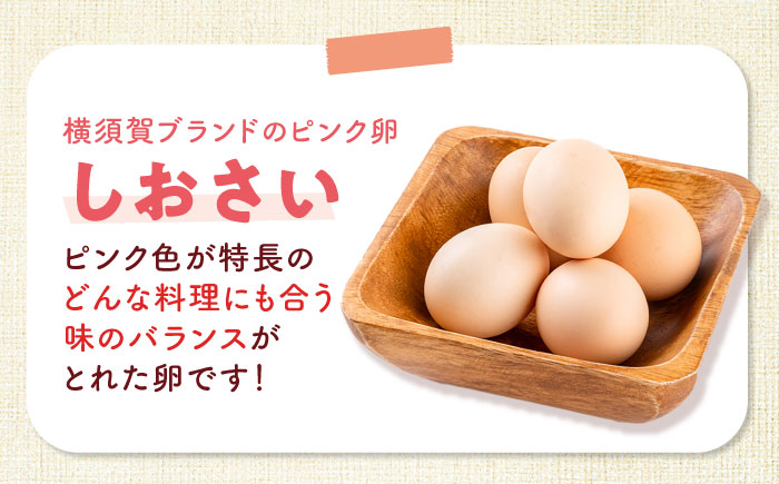 【全3回定期便】【数量限定50セット】安田養鶏場の卵 しおさい 30個入り 横須賀市 産地直送 割れ保証付き たまご 黄身 濃厚 卵 玉子 タマゴ 鶏卵 【安田養鶏場】 [AKHN008]