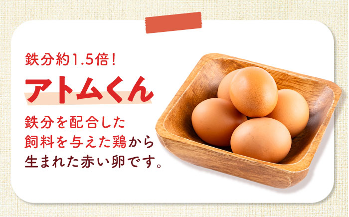 【全3回定期便】安田養鶏場の卵 アトムくん 30個入り 横須賀市 産地直送 割れ保証付き たまご 黄身 濃厚 卵 玉子 タマゴ 鶏卵 【安田養鶏場】 [AKHN009]