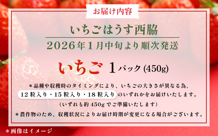 【先行予約】【数量限定100セット】　いちご　1パック 約450g　【いちごはうす西脇】 [AKHO001]