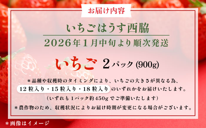 【先行予約】【数量限定100セット】　いちご　2パック 約900g　【いちごはうす西脇】 [AKHO002]