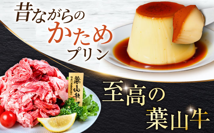 【全6回定期便】横須賀 豪華！グルメ定期便 [AKZZ017]