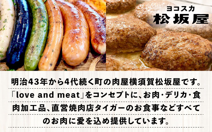 プレミアムハンバーグセット ソース入り20個 【有限会社横須賀松坂屋】 [AKCY002-2] ソース入り20個