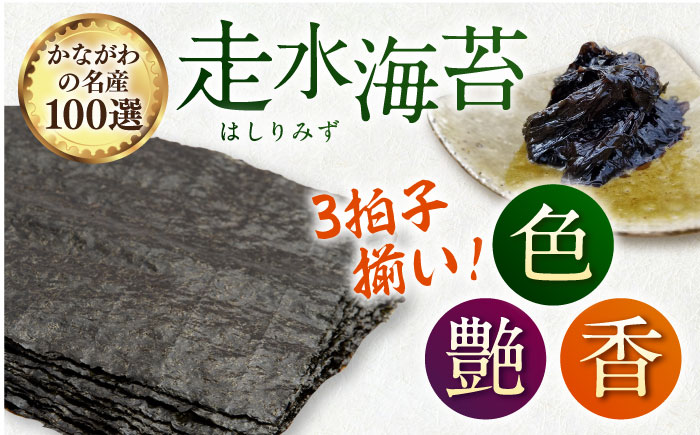 【全6回定期便】【訳あり】ごま塩味付け海苔 八切り80枚×2袋（全形20枚分）【丸良水産】［AKAB078］