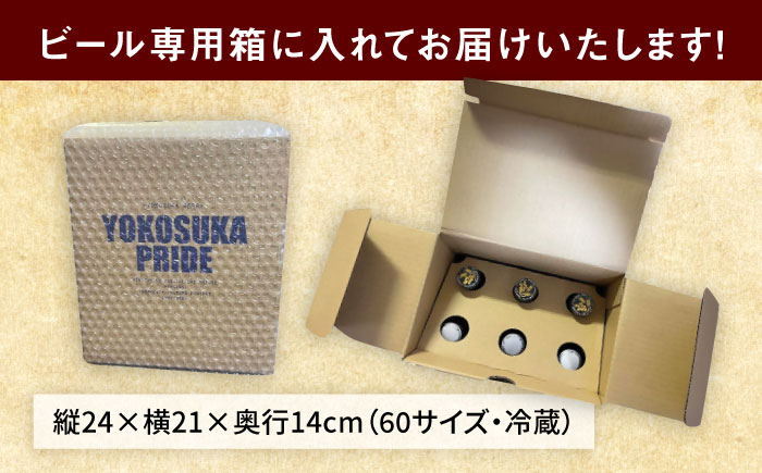 【全6回定期便】飲み比べ ビール 3種　6本セット （330ml瓶×計36本）クラフトビール 【有限会社たのし屋本舗】 [AKAE051]