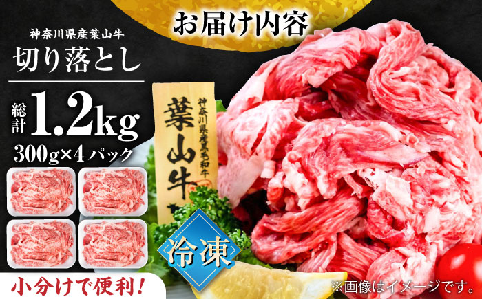 葉山牛 切り落とし300g×4パック 計1.2kg 【株式会社羽根】 [AKAG003]