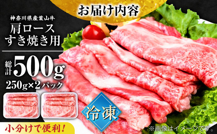 葉山牛肩ロースすき焼き用 250g×2パック 計500g 【株式会社羽根】 [AKAG004]