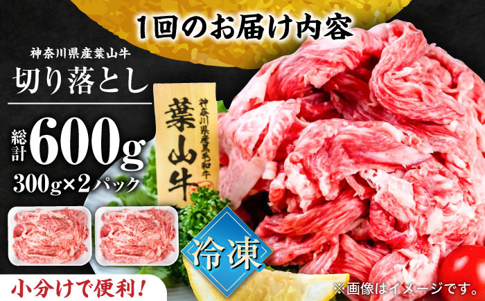 【全12回定期便】葉山牛 切り落とし300g×2パック 計600g【株式会社羽根】 [AKAG029]