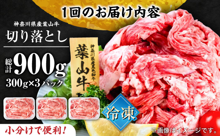 【全6回定期便】葉山牛 切り落とし300g×3パック 計900g【株式会社羽根】 [AKAG031]