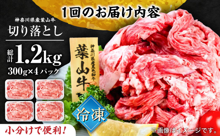 【全6回定期便】葉山牛 切り落とし300g×4パック 計1.2kg【株式会社羽根】 [AKAG034]