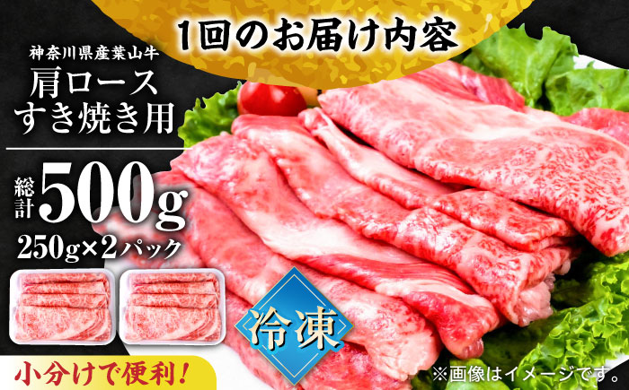 【全12回定期便】葉山牛肩ロースすき焼き用 250g×2パック 計500g【株式会社羽根】 [AKAG038]