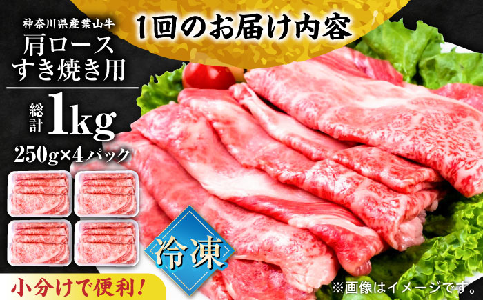 【全12回定期便】葉山牛肩ロースすき焼き用 250g×4パック 計1.0kg【株式会社羽根】 [AKAG041]