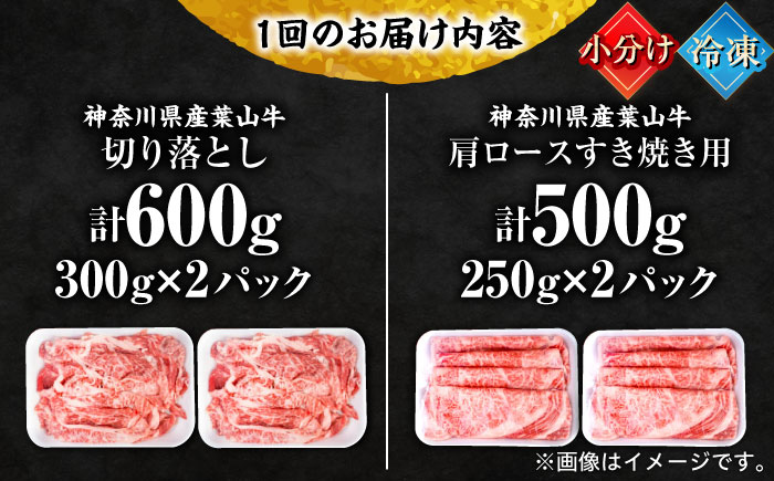 【全12回定期便】葉山牛満腹セット（肩ロースすき焼用250g×2＋切落し300g×2）計1.1kg【株式会社羽根】 [AKAG044]