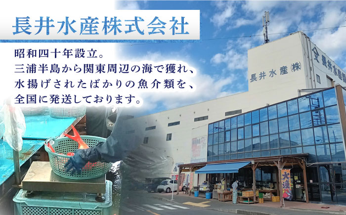 干物 かながわブランド「三崎黒潮キンメ」 特大 2枚入 約1400g セット【長井水産株式会社】 [AKAJ001]