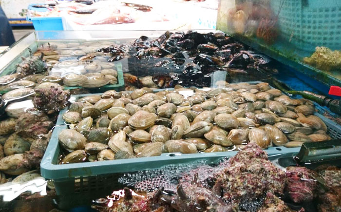 【全6回定期便】サザエ 1kg 6～10個 三浦半島【長井水産株式会社】 [AKAJ010]