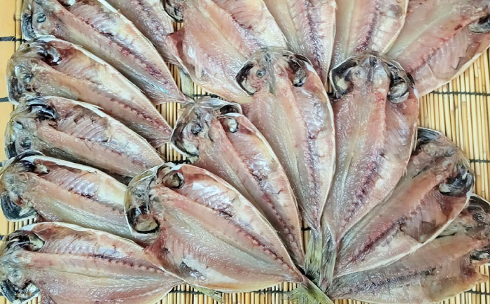 三浦半島 極上アジ干物 16枚 【長井水産株式会社】 [AKAJ022]