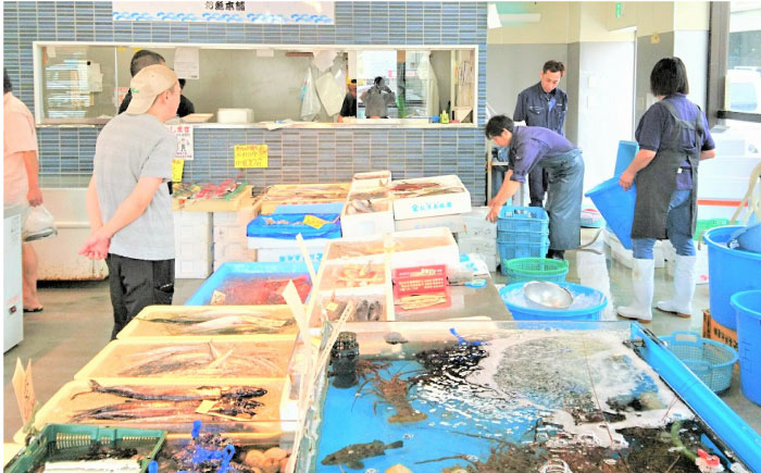 【先行予約】【冬季限定】下ごしらえ済 クロムツ 約300～400g　1尾 鮮魚 処理済み 下処理済み【長井水産株式会社】 [AKAJ030]