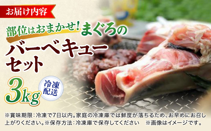 まぐろ おまかせバーベキューセット 冷凍約3kg【横須賀商工会議所 おもてなしギフト事務局（本まぐろ直売所 横須賀本店）】[AKAK004]