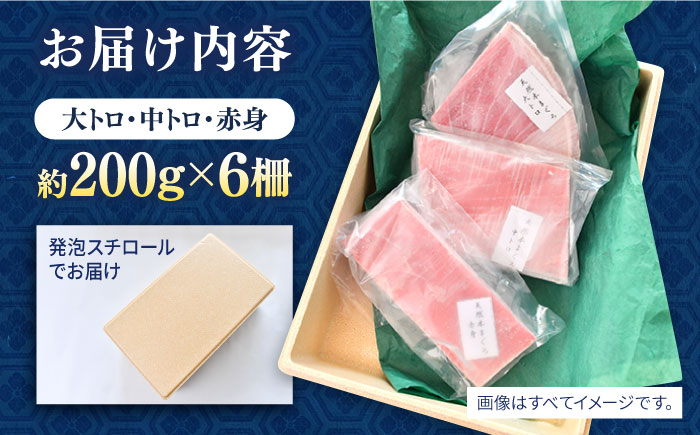 天然 本まぐろ 大トロ・中トロ・赤身（約200ｇ×6柵）約1200ｇ【横須賀商工会議所 おもてなしギフト事務局（本まぐろ直売所 横須賀本店）】[AKAK019]