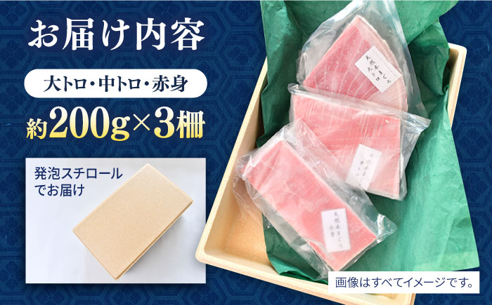 天然 まぐろ 大トロ・中トロ・赤身（約200ｇ×3柵）約600ｇ【横須賀商工会議所 おもてなしギフト事務局（本まぐろ直売所 横須賀本店）】[AKAK020]