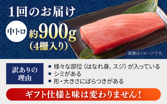 【全12回定期便】【訳あり】天然 まぐろ 中トロ メバチ 計約900g (4柵入り) 【横須賀商工会議所 おもてなしギフト事務局（本まぐろ直売所 横須賀本店）】 [AKAK052]
