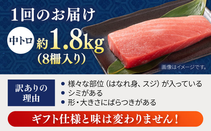 【全3回定期便】【訳あり】天然 まぐろ 中トロ メバチ 計約1.8kg (8柵入り) 【横須賀商工会議所 おもてなしギフト事務局（本まぐろ直売所 横須賀本店）】 [AKAK053]
