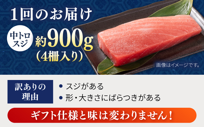【全3回定期便】【訳あり】天然 本まぐろ 中トロ 計約900g (4柵入り) 【横須賀商工会議所 おもてなしギフト事務局（本まぐろ直売所 横須賀本店）】 [AKAK068]