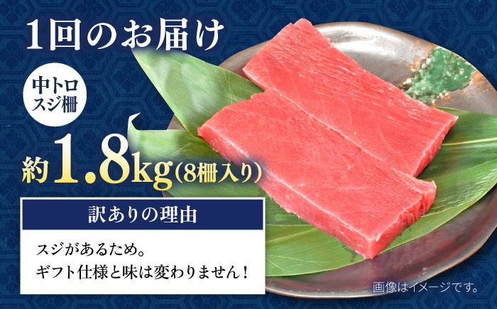 【全6回定期便】【訳あり】天然 本まぐろ 中トロ 計約1.8kg (8柵入り) 【横須賀商工会議所 おもてなしギフト事務局（本まぐろ直売所 横須賀本店）】 [AKAK072]