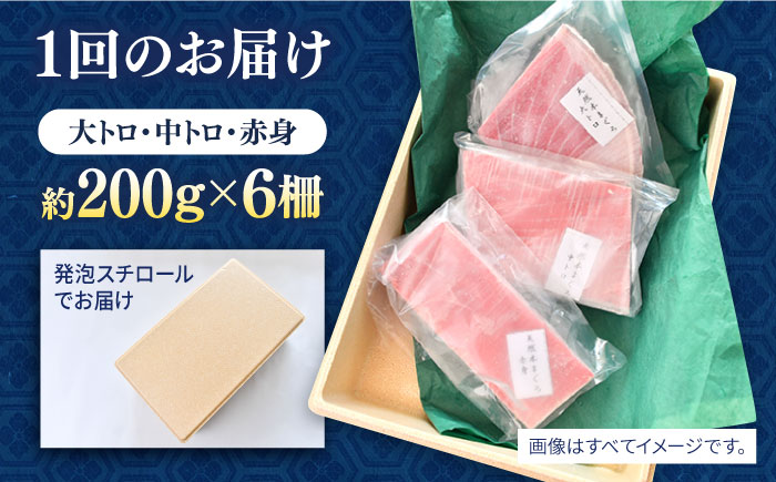 【全6回定期便】天然 まぐろ 大トロ・中トロ・赤身（約200ｇ×6柵）約1200ｇ【横須賀商工会議所 おもてなしギフト事務局（本まぐろ直売所 横須賀本店）】 [AKAK084]