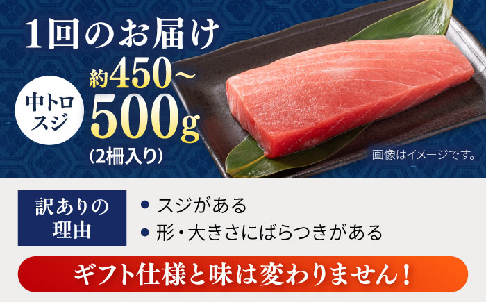 【全6回定期便】【訳あり】天然 本まぐろ 中トロ（約450～500g（2柵入り））【横須賀商工会議所 おもてなしギフト事務局（本まぐろ直売所 横須賀本店）】 [AKAK088]